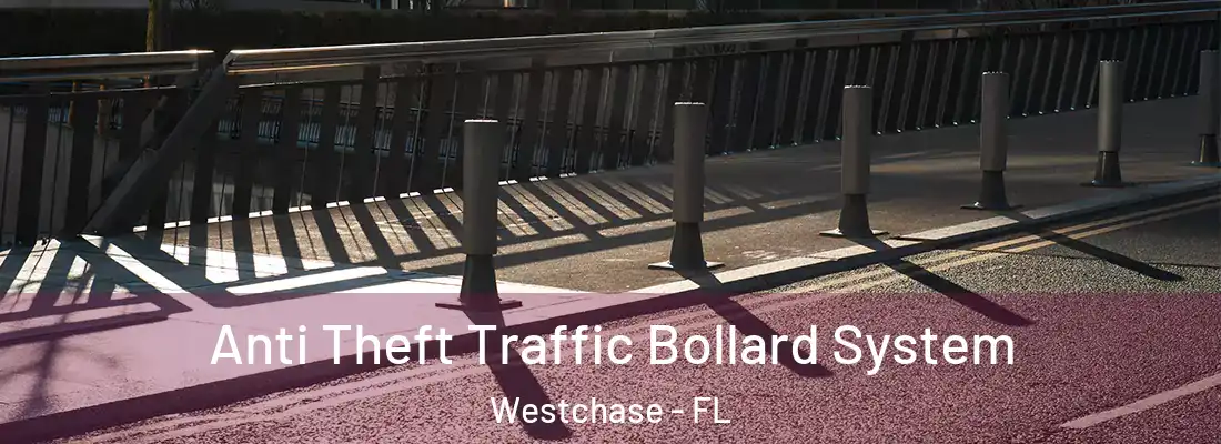  Anti Theft Traffic Bollard System Westchase - FL