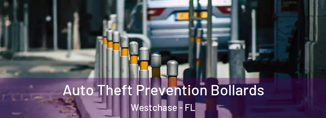  Auto Theft Prevention Bollards Westchase - FL
