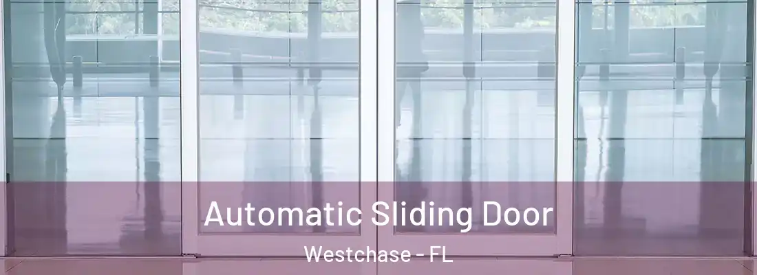 Automatic Sliding Door Westchase - FL