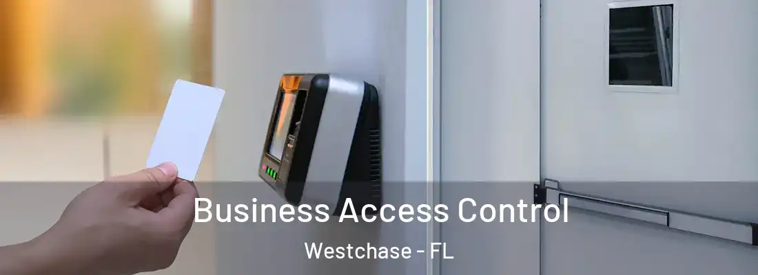 Business Access Control Westchase - FL