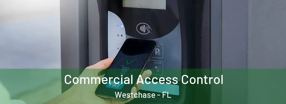 Commercial Access Control Westchase - FL