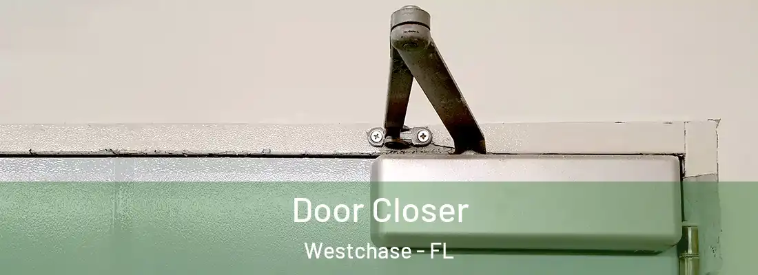 Door Closer Westchase - FL