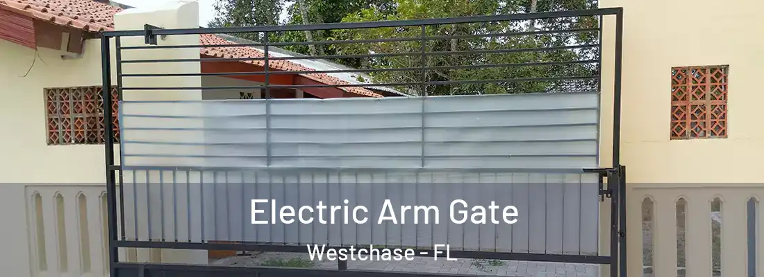 Electric Arm Gate Westchase - FL