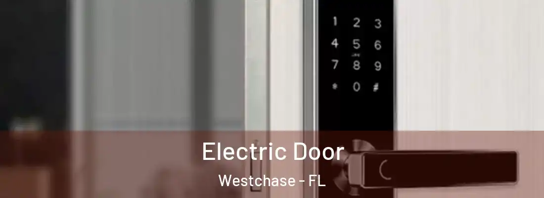  Electric Door Westchase - FL