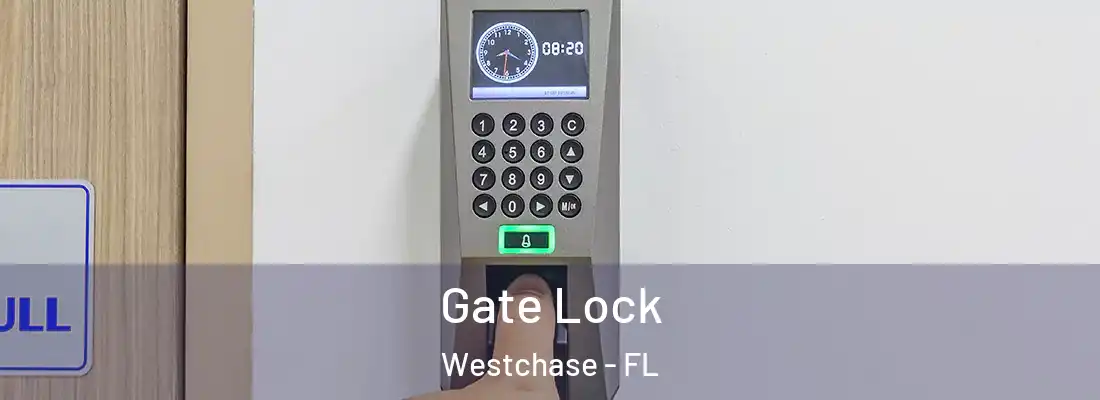 Gate Lock Westchase - FL