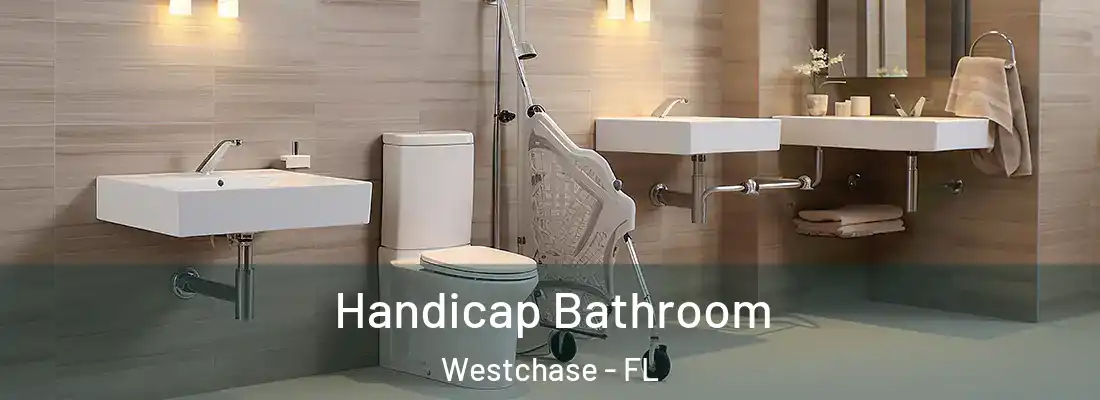  Handicap Bathroom Westchase - FL