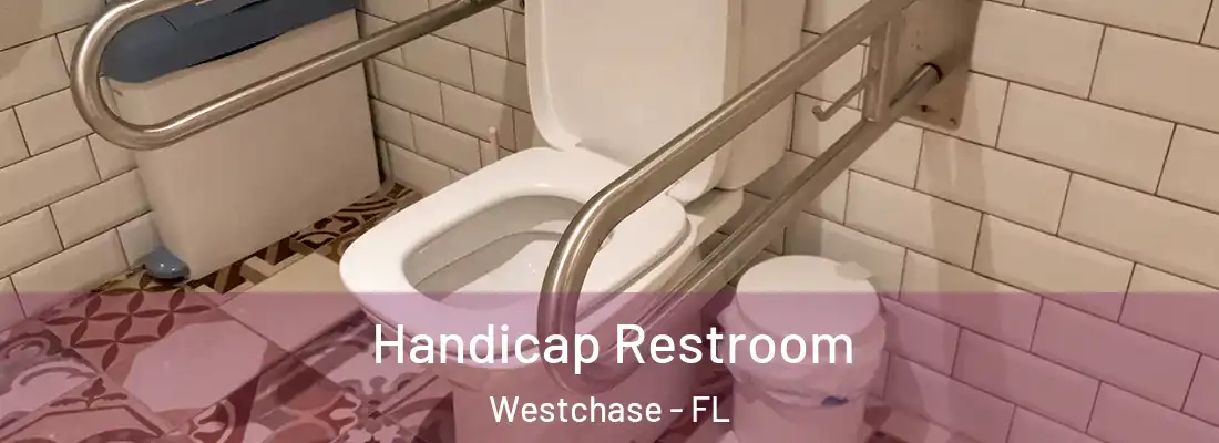 Handicap Restroom Westchase - FL