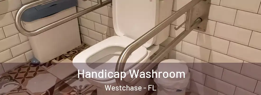  Handicap Washroom Westchase - FL