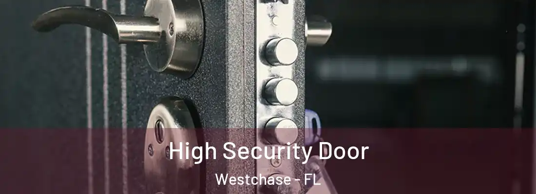 High Security Door Westchase - FL