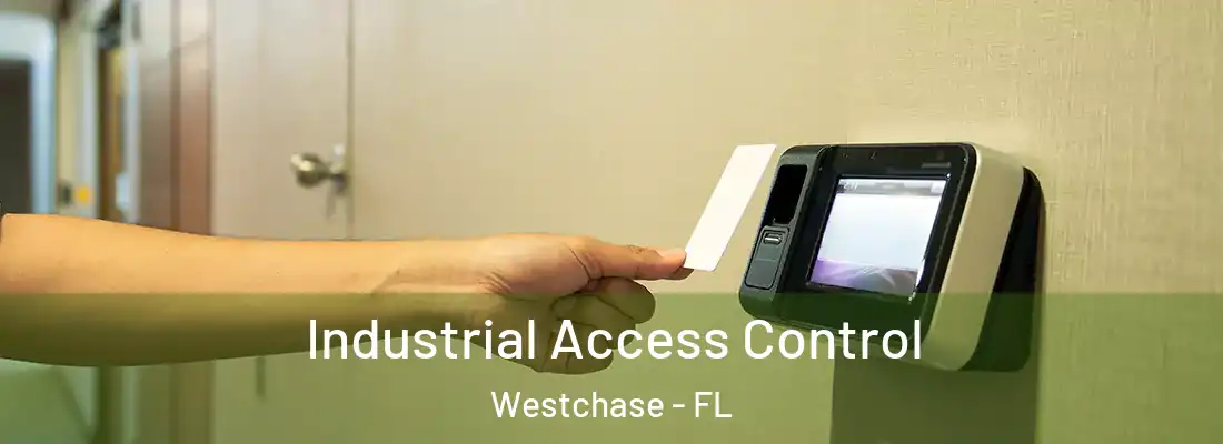 Industrial Access Control Westchase - FL