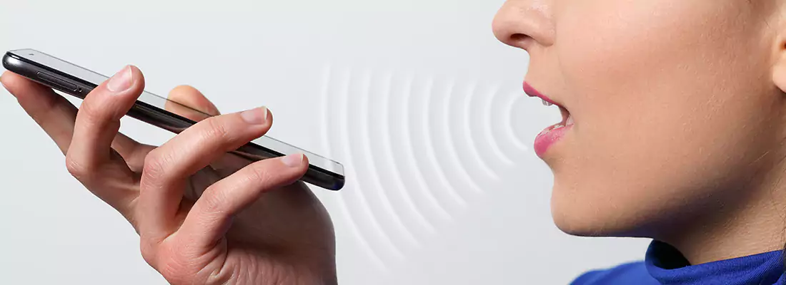 Residential and Commercial Voice Recognition Access Solutions in Westchase, FL