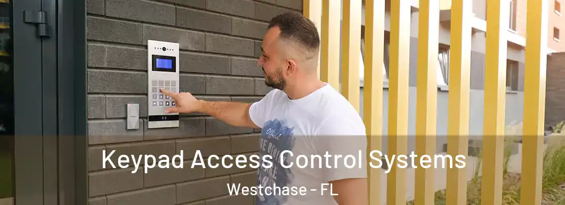 Keypad Access Control Systems Westchase - FL