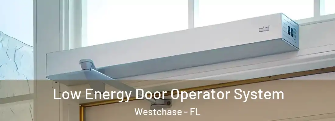 Low Energy Door Operator System Westchase - FL