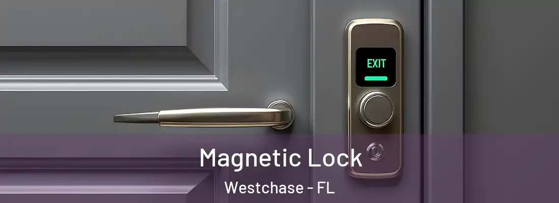 Magnetic Lock Westchase - FL