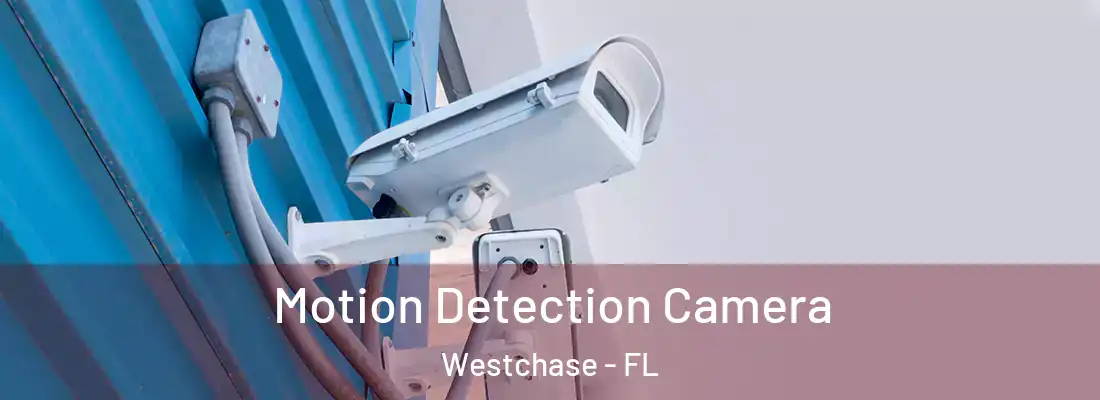 Motion Detection Camera Westchase - FL