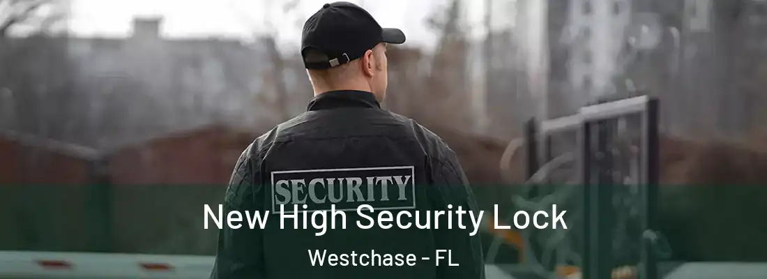 New High Security Lock Westchase - FL