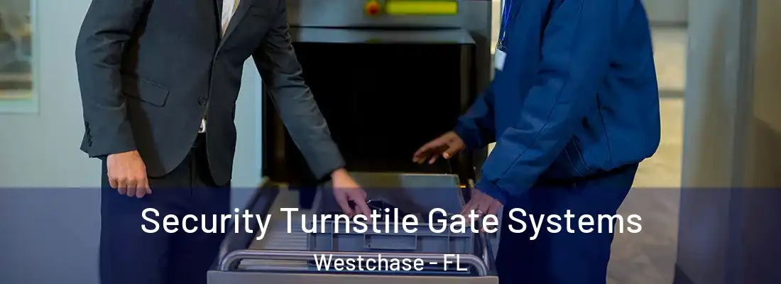  Security Turnstile Gate Systems Westchase - FL