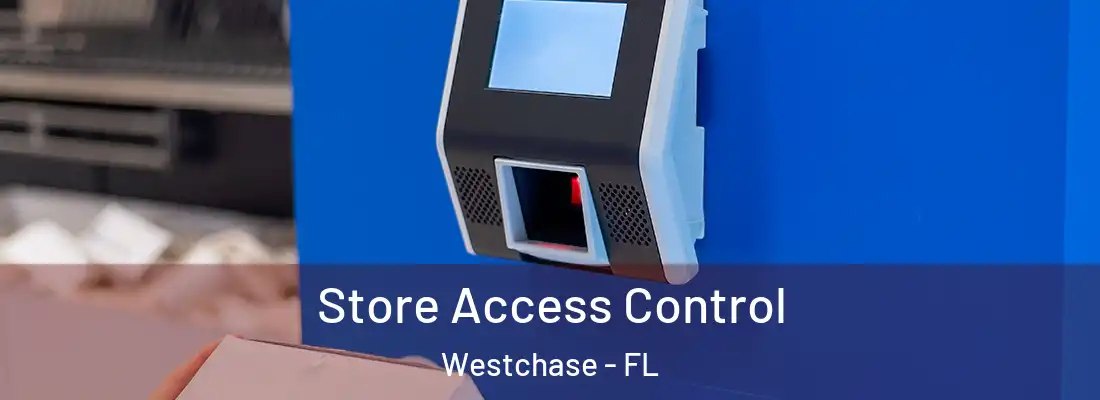Store Access Control Westchase - FL