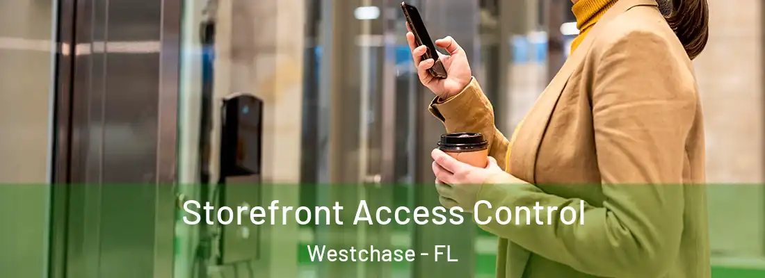Storefront Access Control Westchase - FL